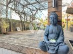 NEUER PREIS // Solides Einfamilienhaus mit grüner Oase im Zentrum von Schweich - Impression Garten / Terrasse