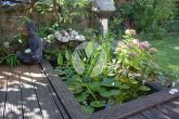 NEUER PREIS // Solides Einfamilienhaus mit grüner Oase im Zentrum von Schweich - Impression Garten / Sommer
